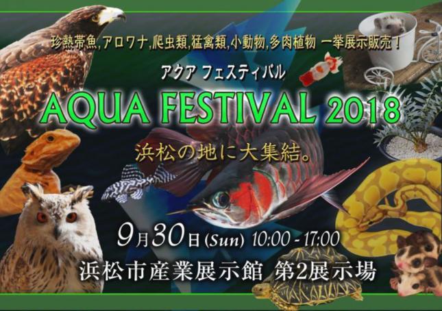 AQUA FESTIVAL（アクアフェスティバル） 2018 in 浜松