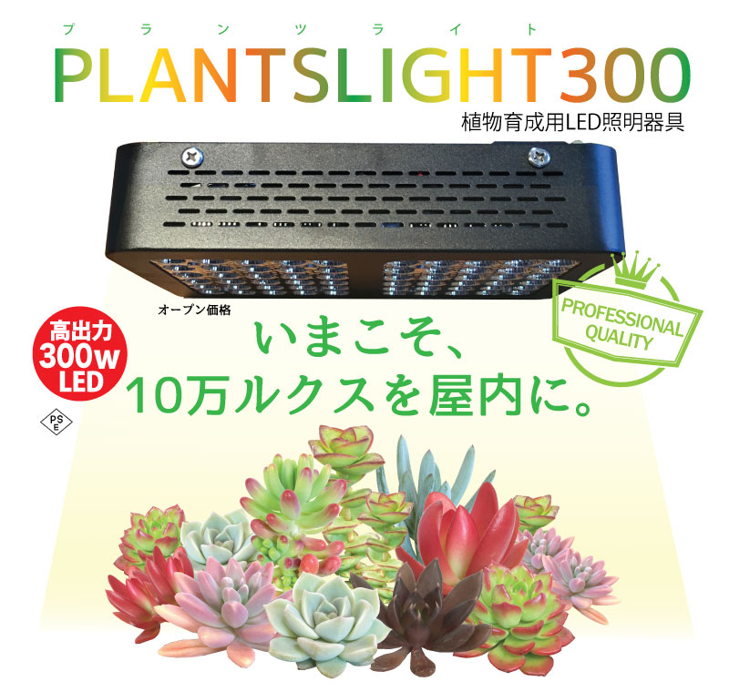 Plantslight From Medelle 多肉植物の店 メデル